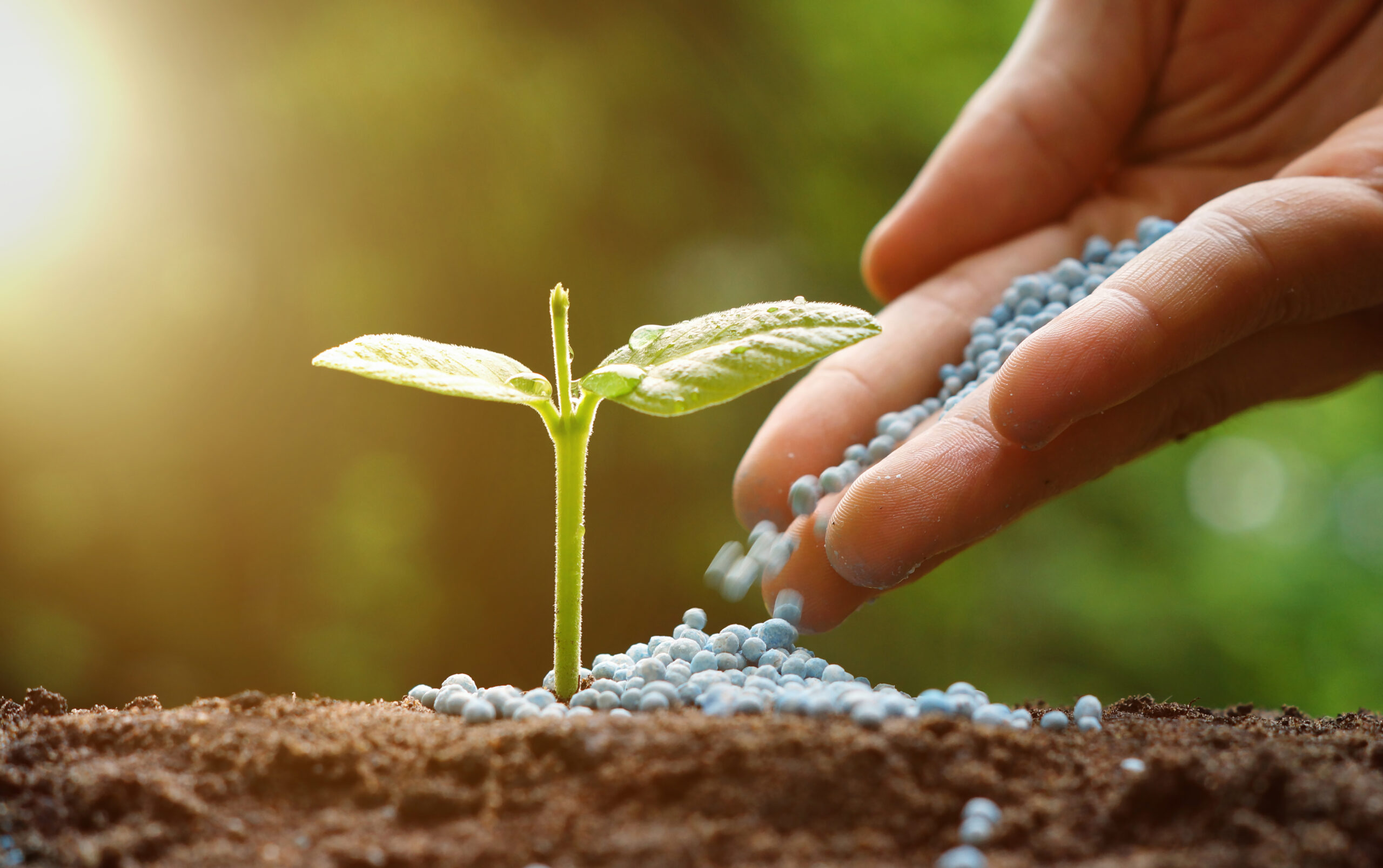 fertilizantes-solidos-como-usar-manejo-nutricional-lavoura